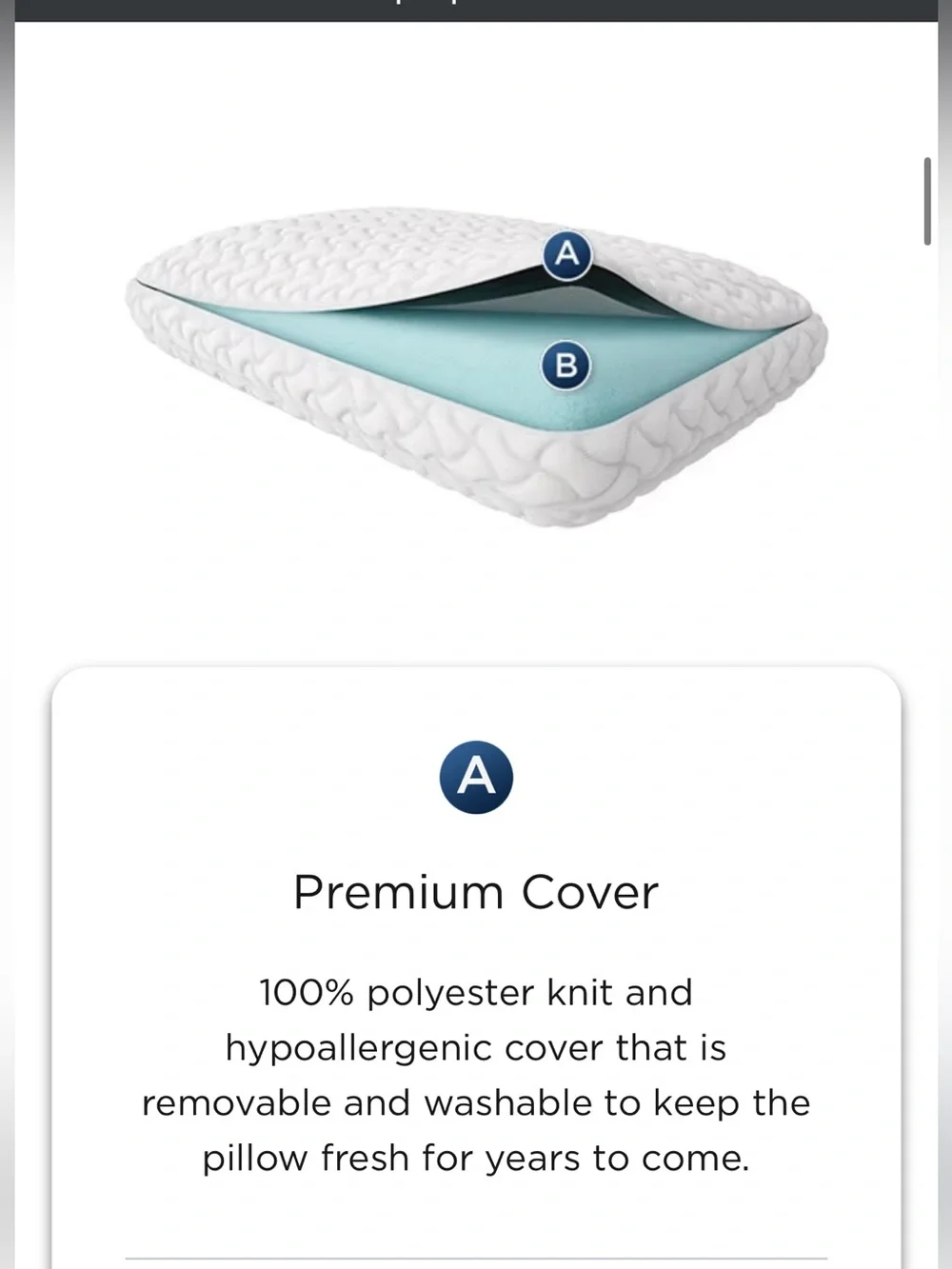 Tempur-Pedic Tempur-Cloud Pillow